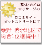 秦野渋沢整体カイロ口コミで人気